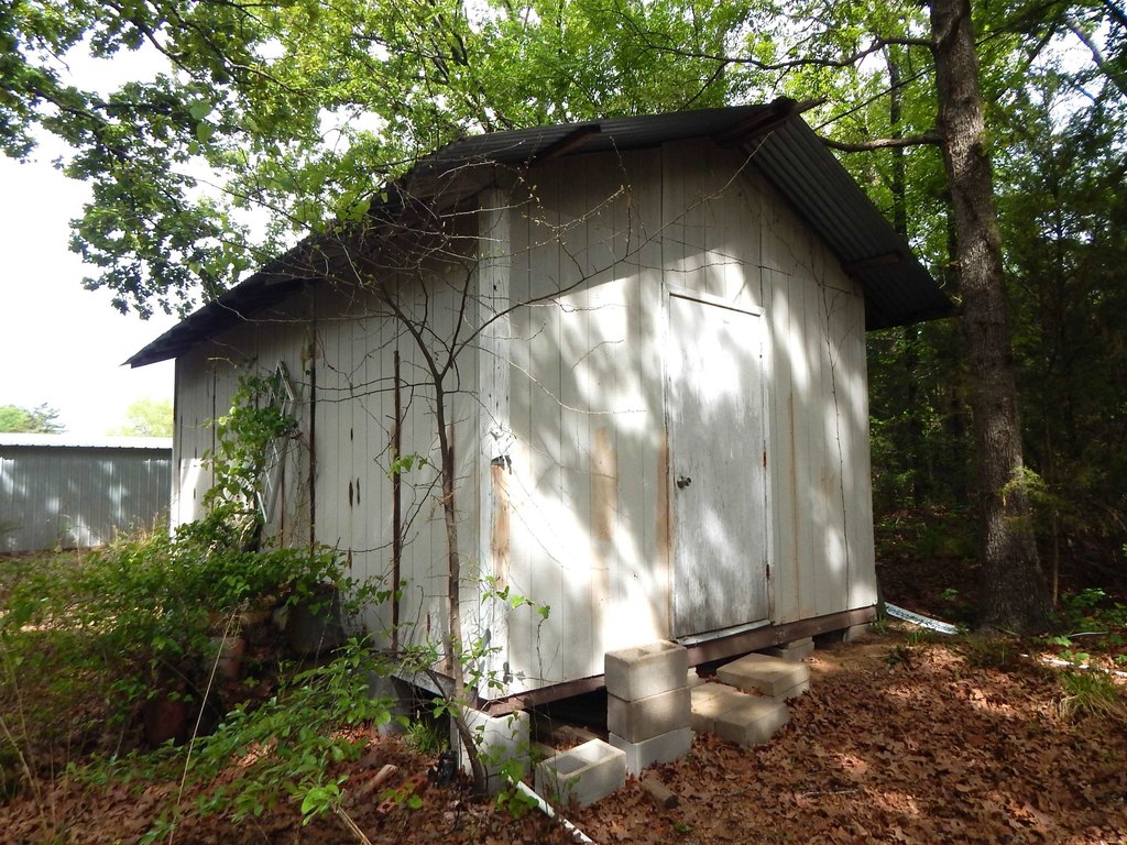 Picture 12