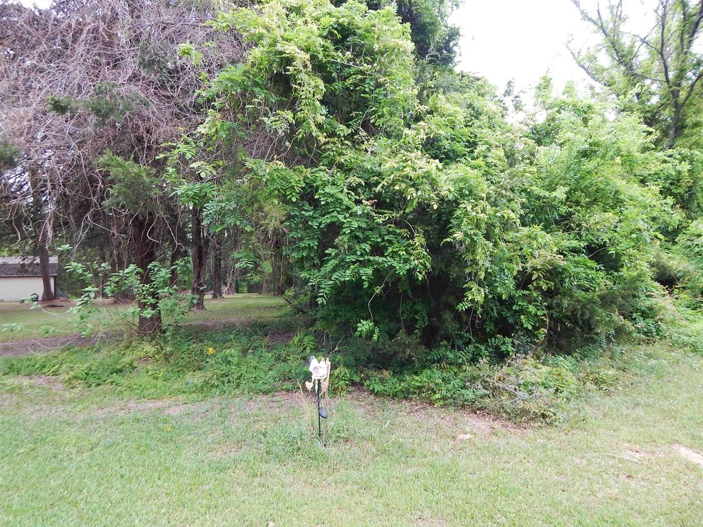 Picture 7
