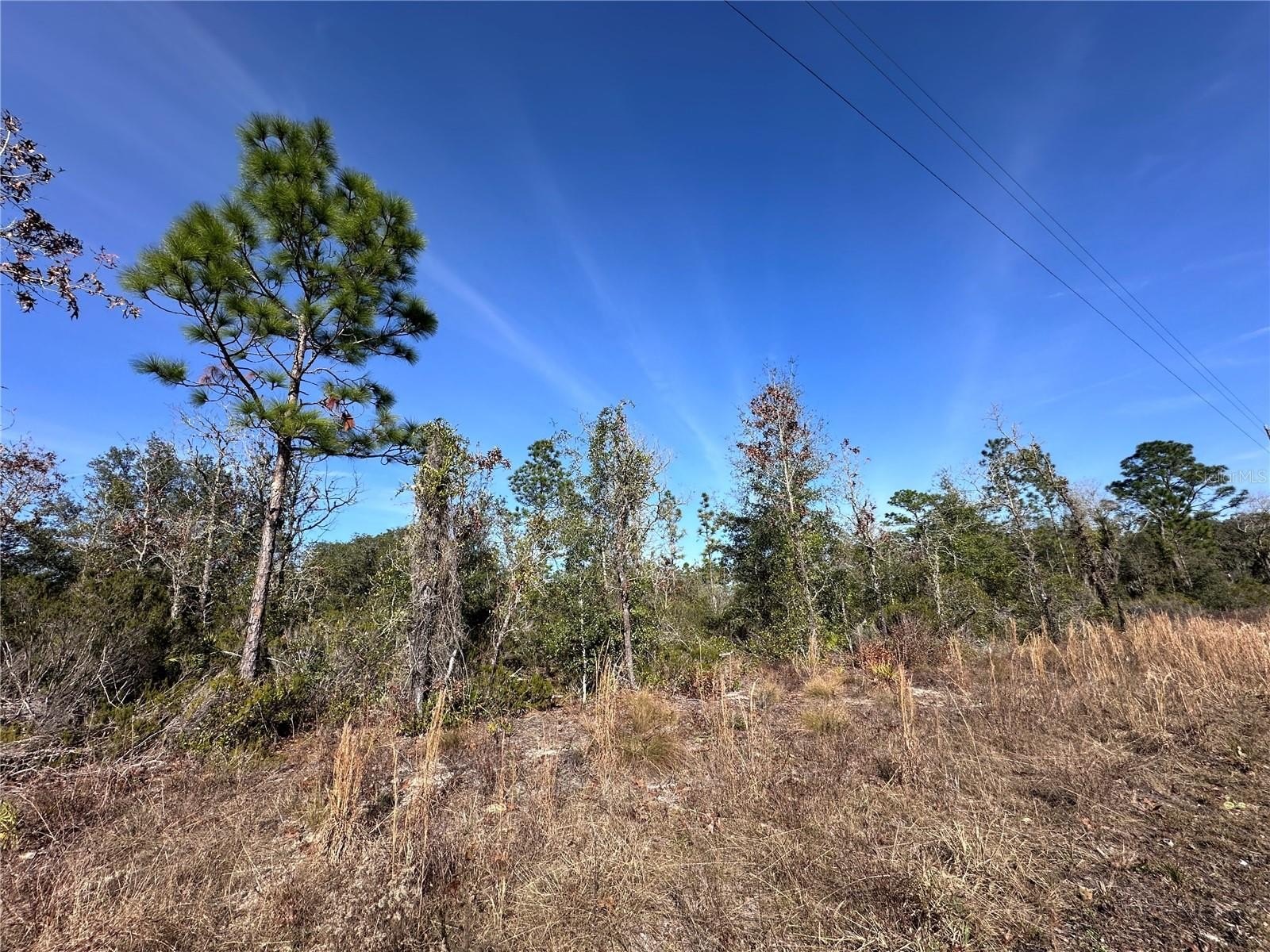 Corner Lot in Oak Ridge