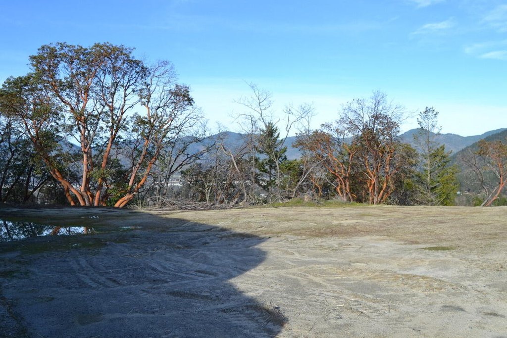 Picture 3