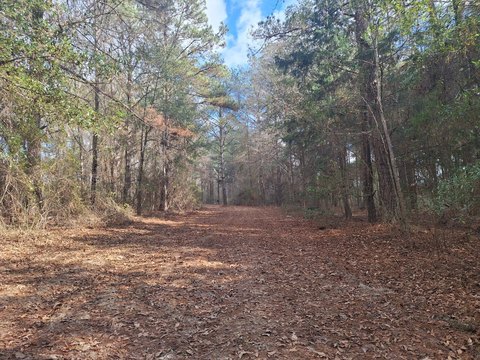 Luverne, AL Hunting/Recreational Land