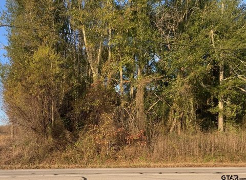 Residential Lot in Tyler, TX