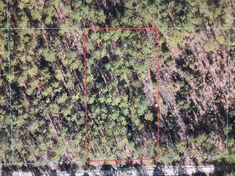 LAND - DUNNELLON, FL