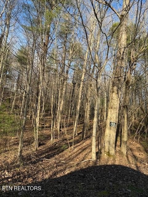 Wooded Land Near National Park