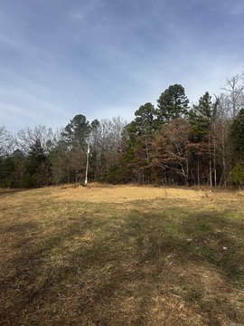 Land Near Ouachita National Forest