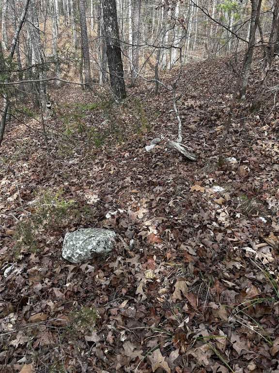 Picture 30