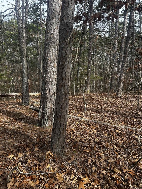 Picture 10
