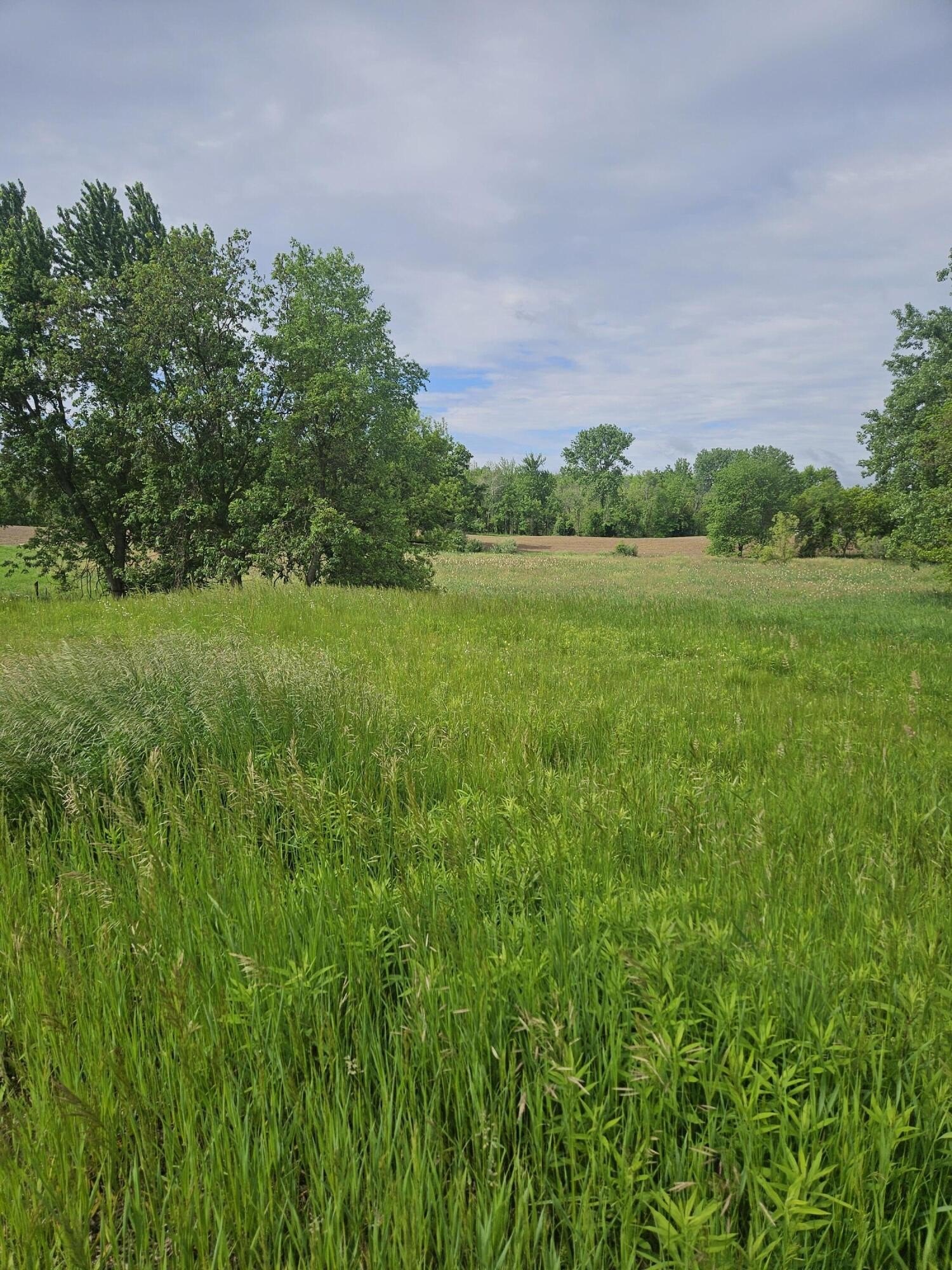 Rockford, MI 1.51-Acre Building Site