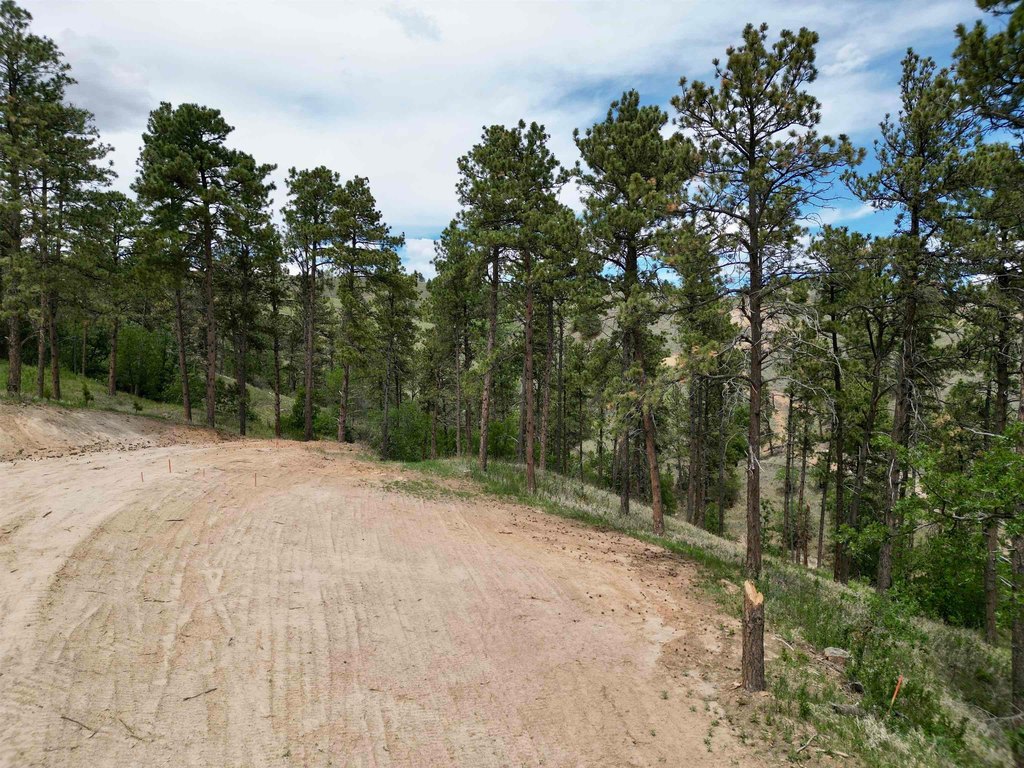 Picture 5
