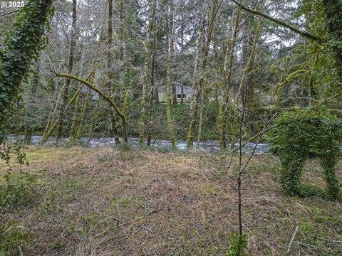 Otis Land Near Slick Rock