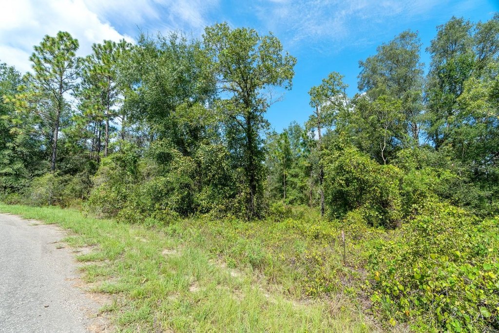 Picture 23