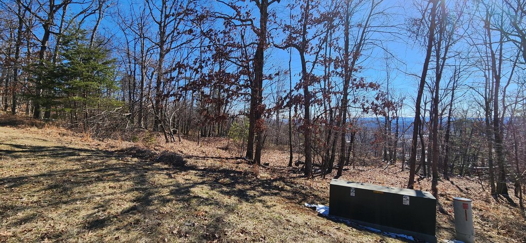 Picture 2