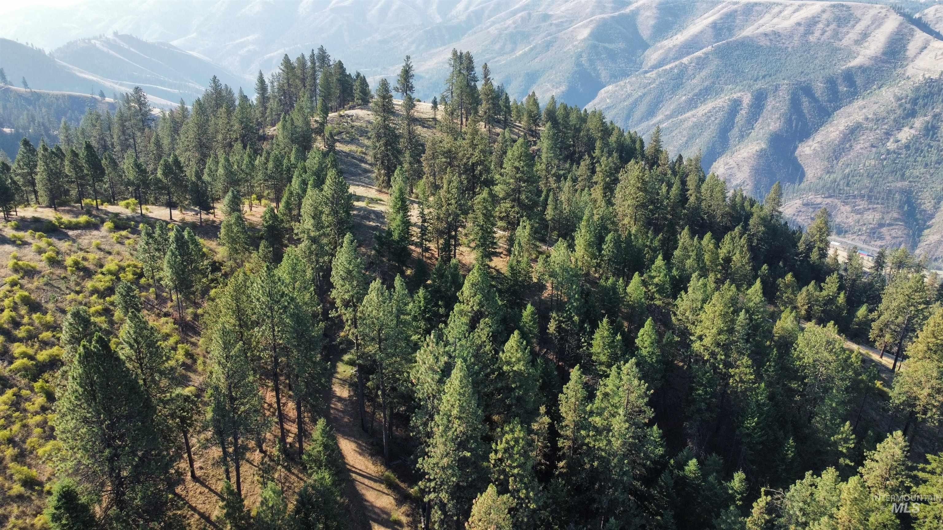Pristine Acreage Overlooking Clearwater River