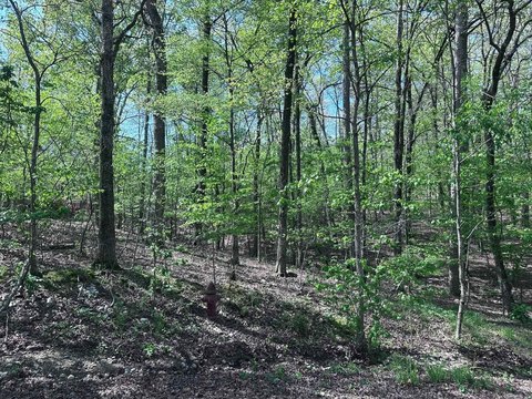 Lake View Homesite Opportunity