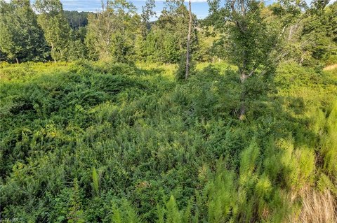 Residential Lot in Regal Oaks