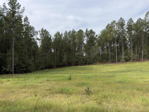 Land, Wagener, SC