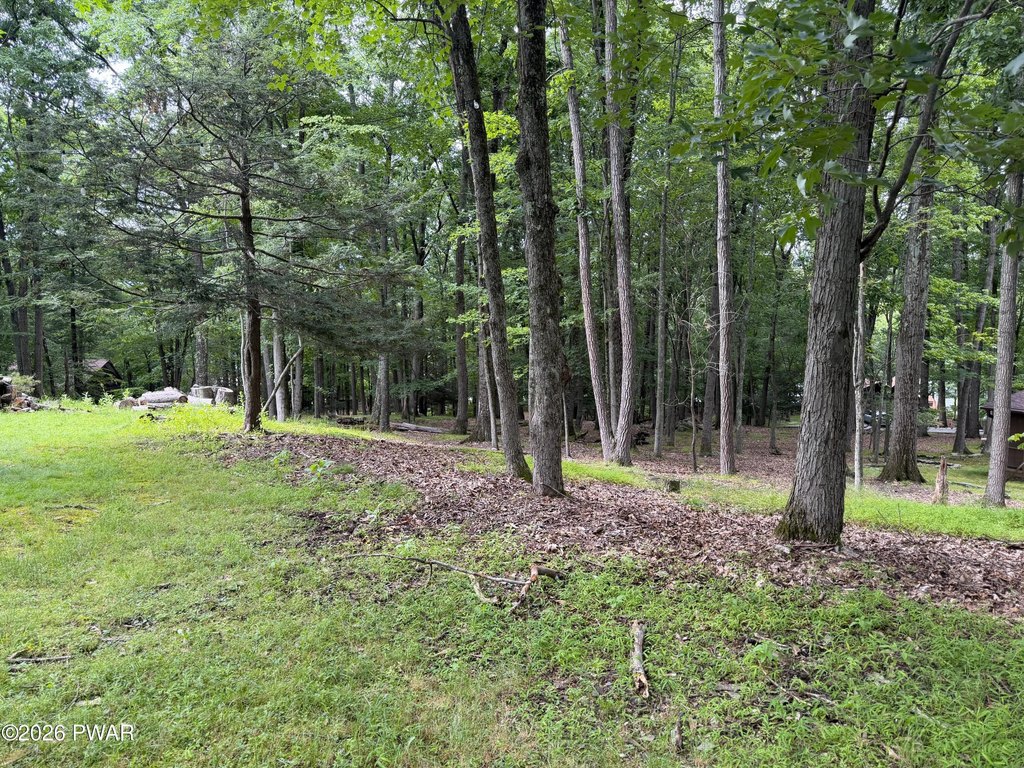 Picture 4