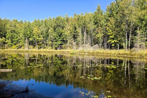 Land, Crandon, WI