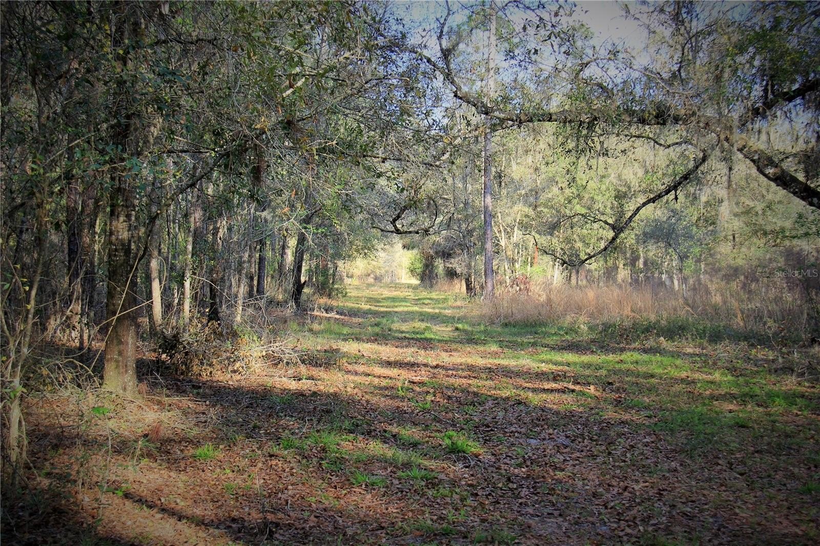 27 Acres Hunting/Farmland Near Orlando