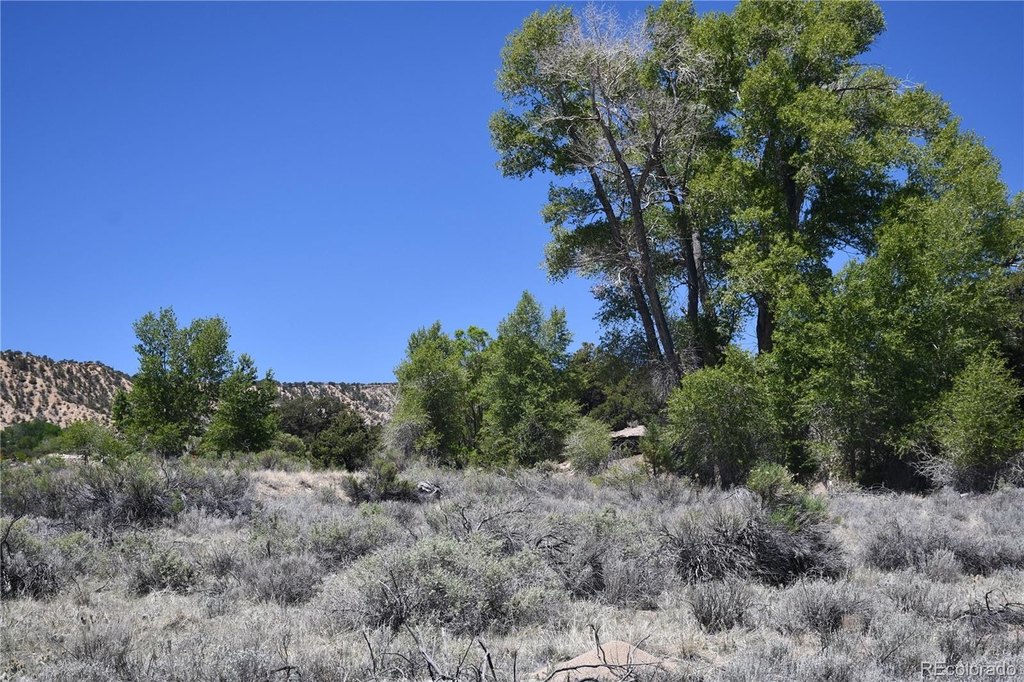 Picture 39
