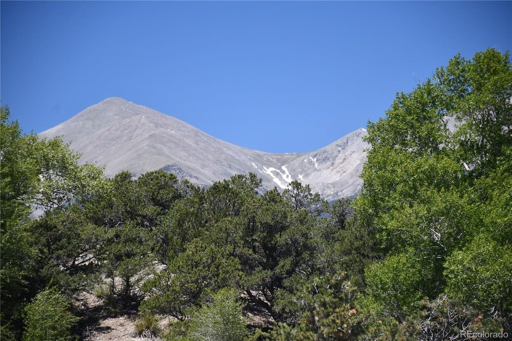 Picture 46