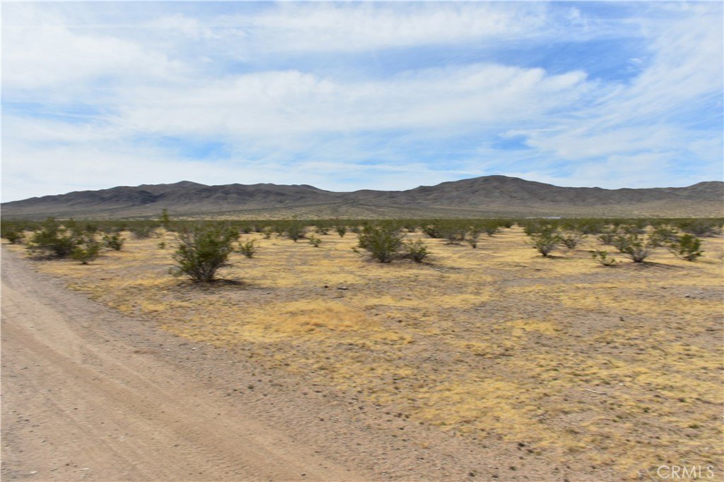 Picture 9