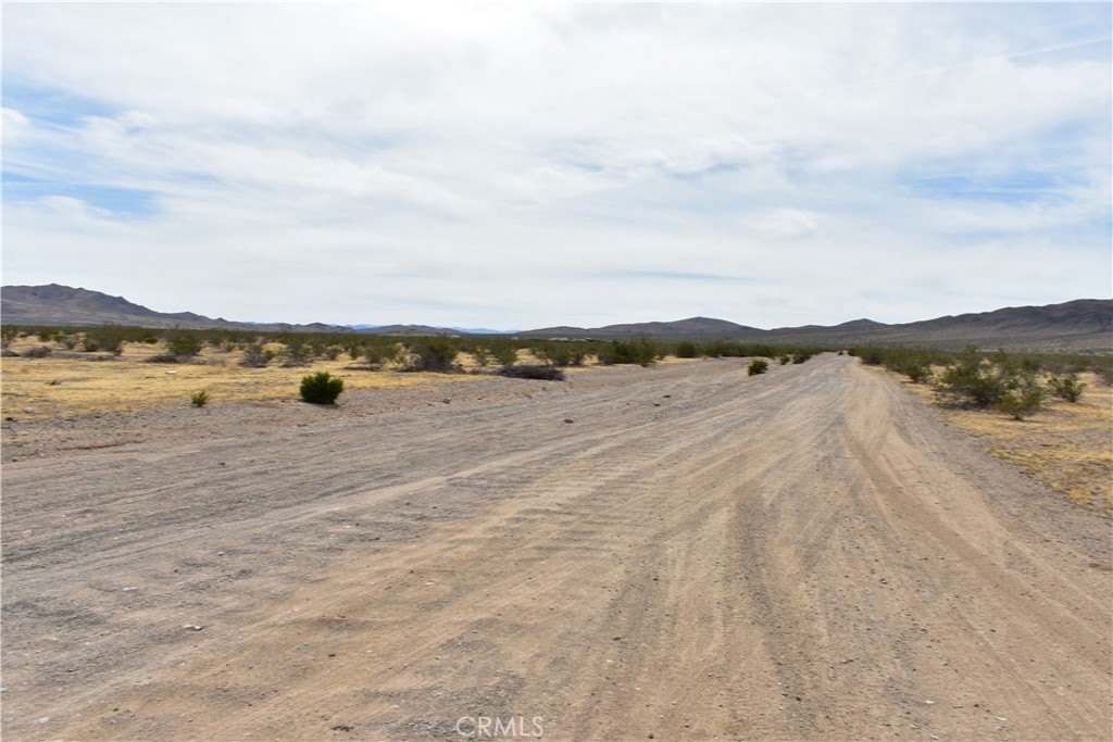 Picture 5