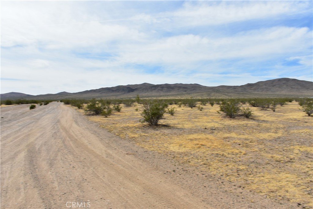 Picture 8