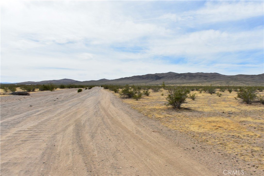 Picture 7