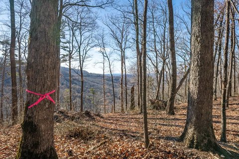 Talking Rock Vacant Mountain Lot
