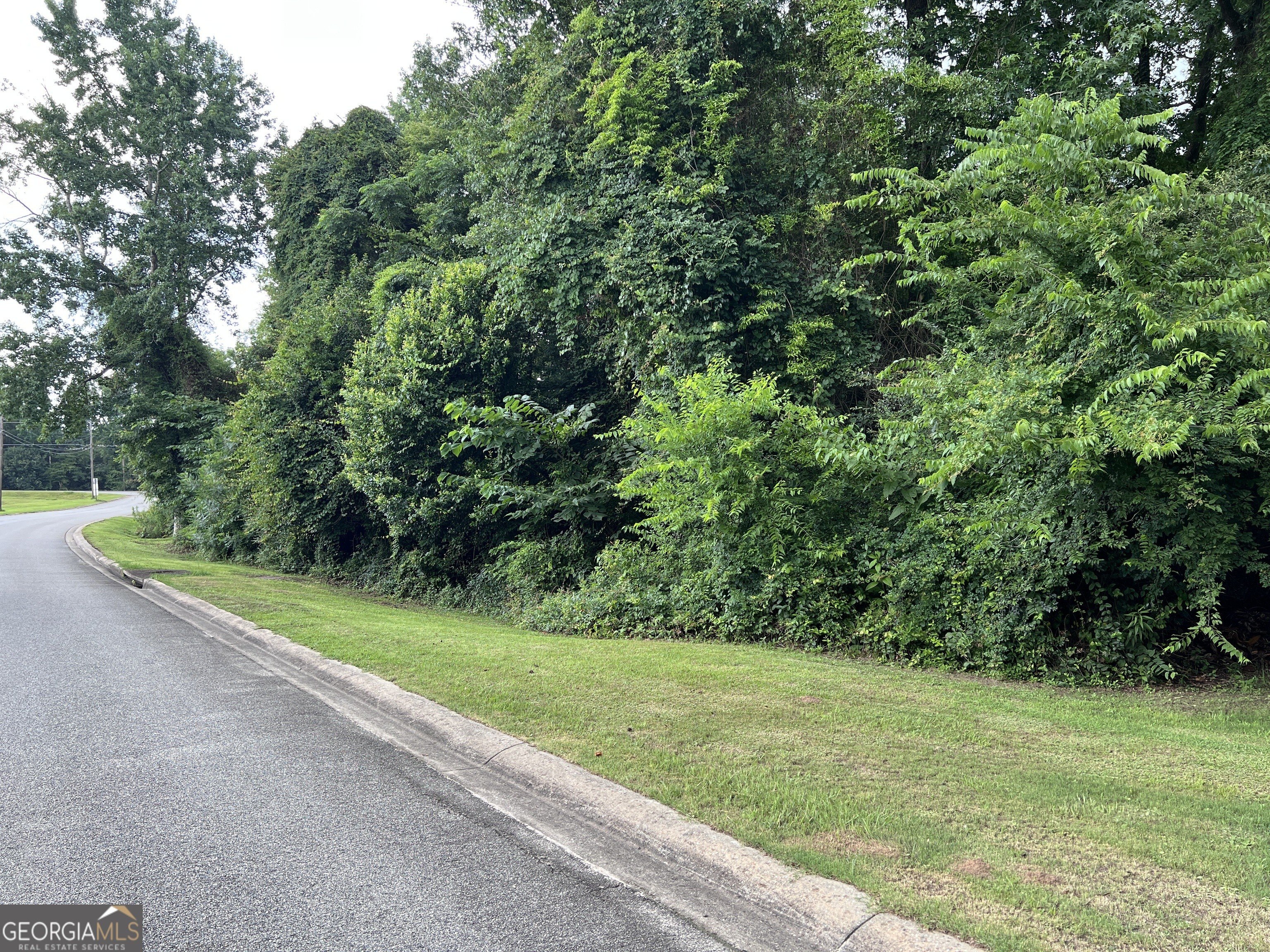 Georgetown, GA Building Lot