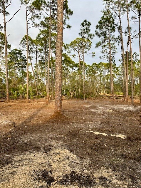 Picture 2