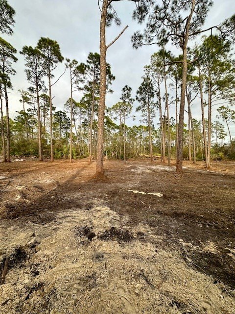 Picture 3