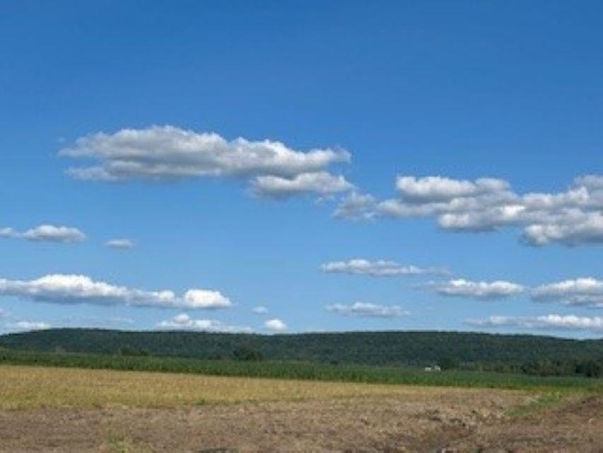 Picture 33
