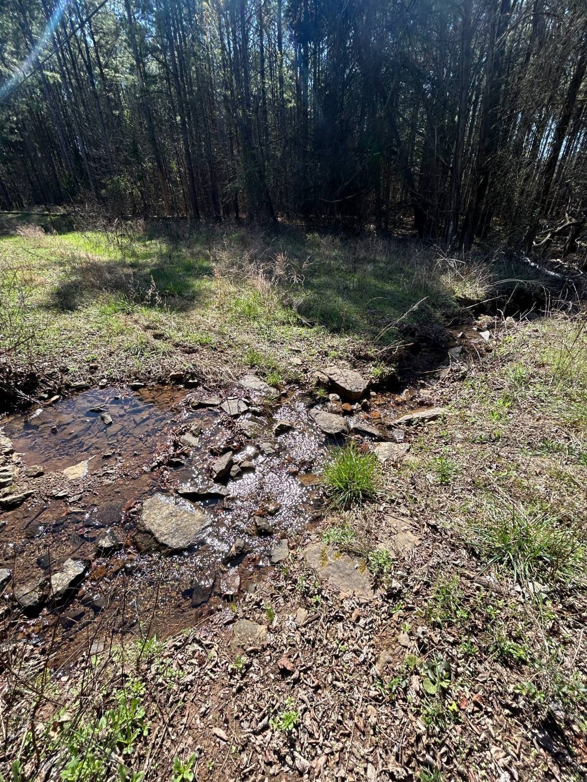 Ozark Land Near Mulberry River