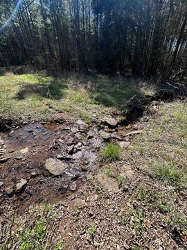 Land Near Mulberry River