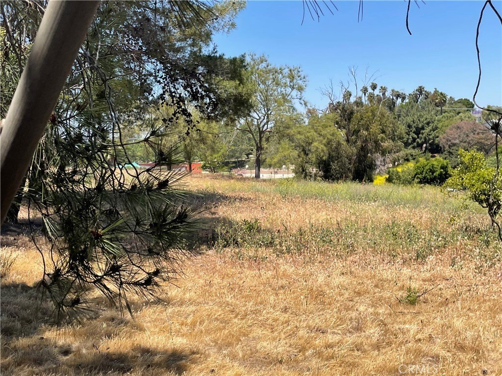 Picture 18