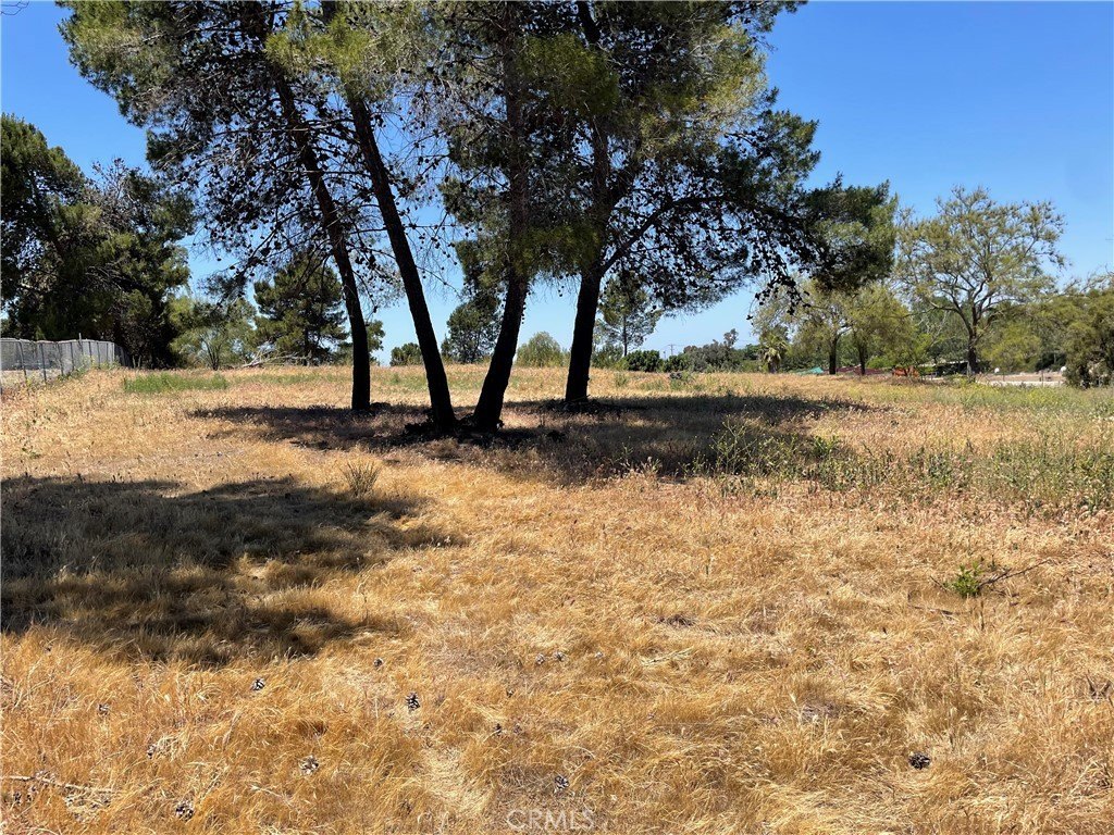 Picture 16