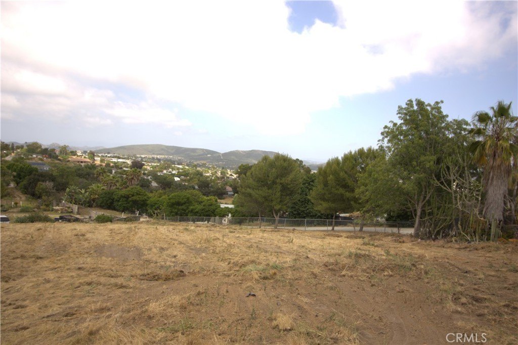 Picture 23
