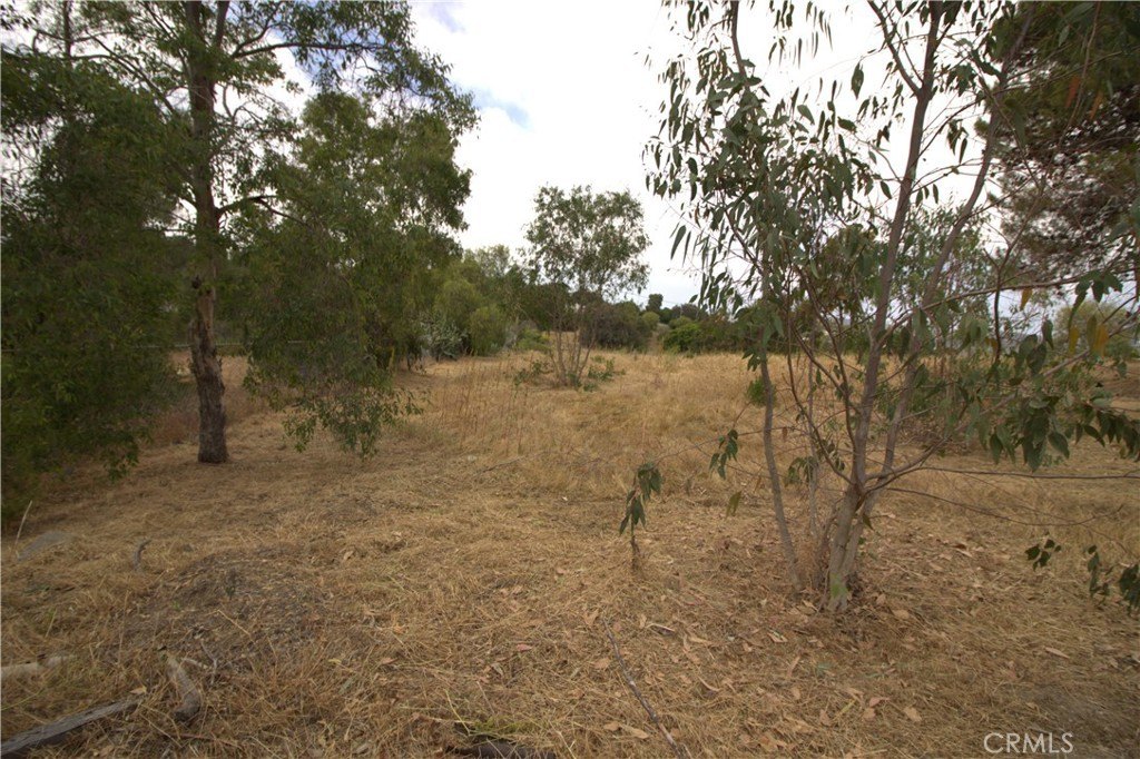 Picture 25