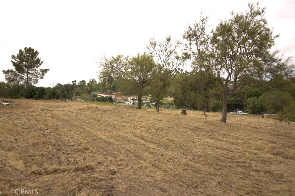 Picture 7