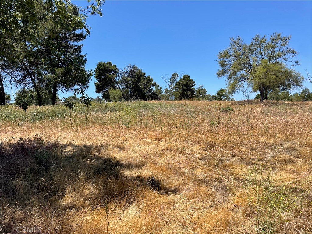 Picture 13