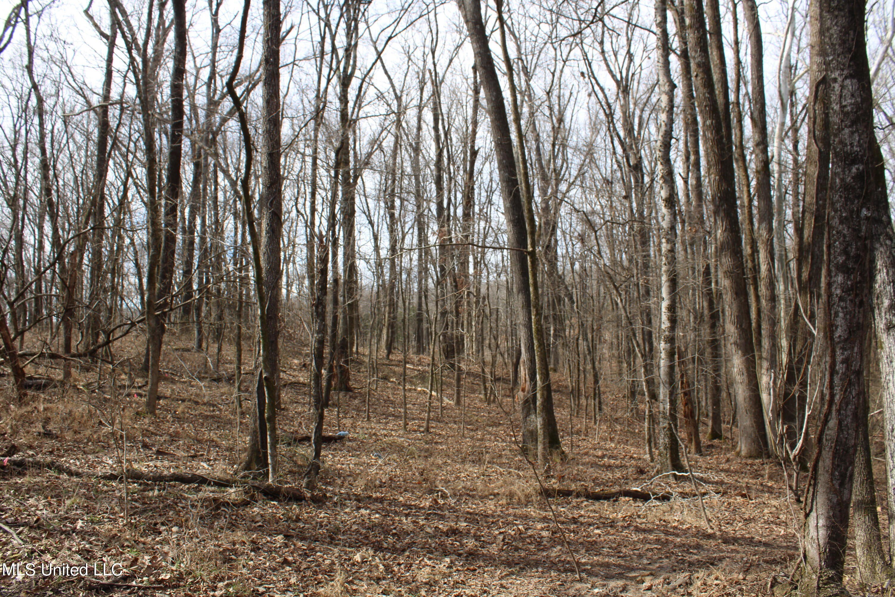 8.2 Acres Pasture Land
