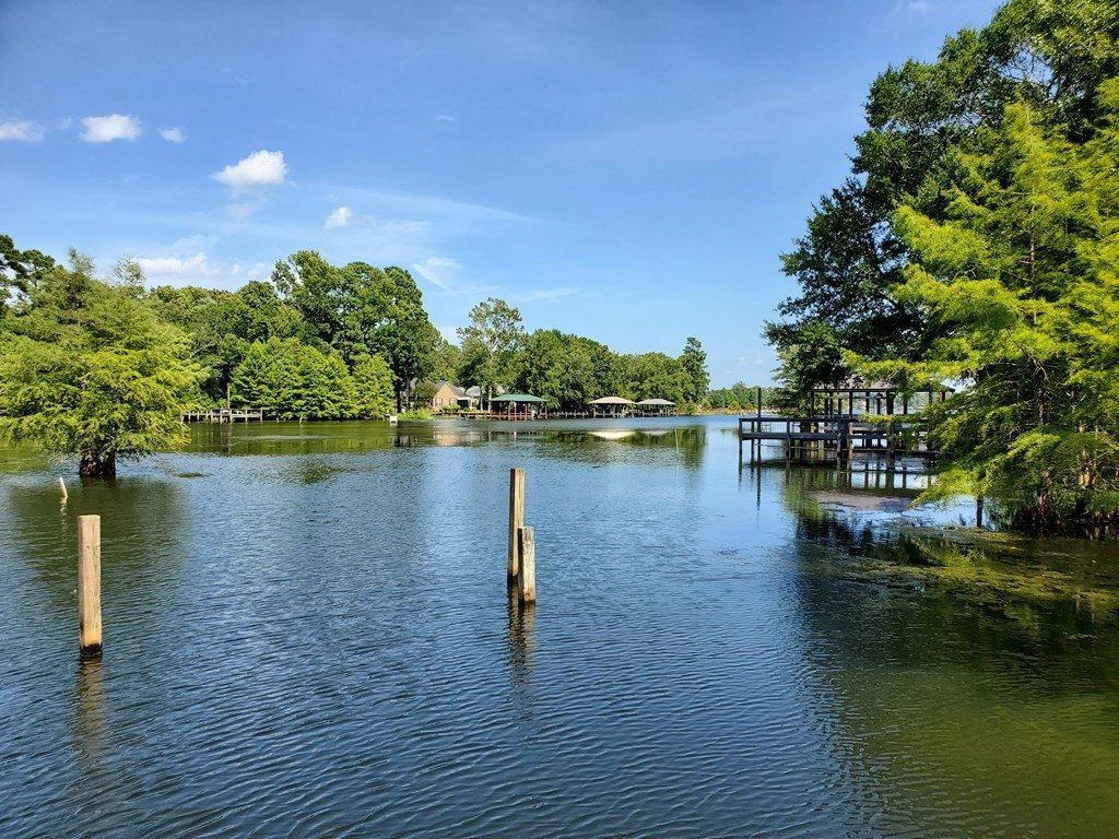 Picture 19