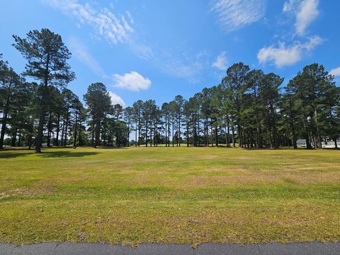 Land, Manning, SC