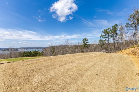 LAND - Crane Hill, AL