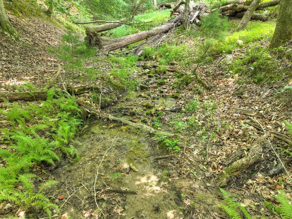 Picture 19