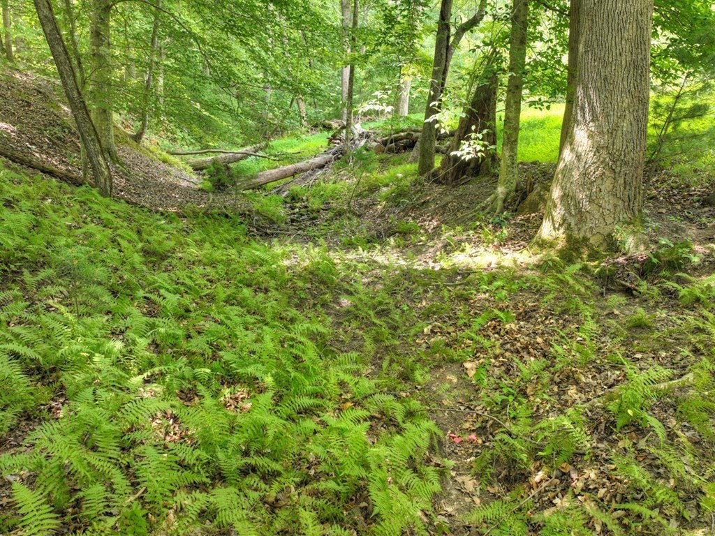 Picture 18