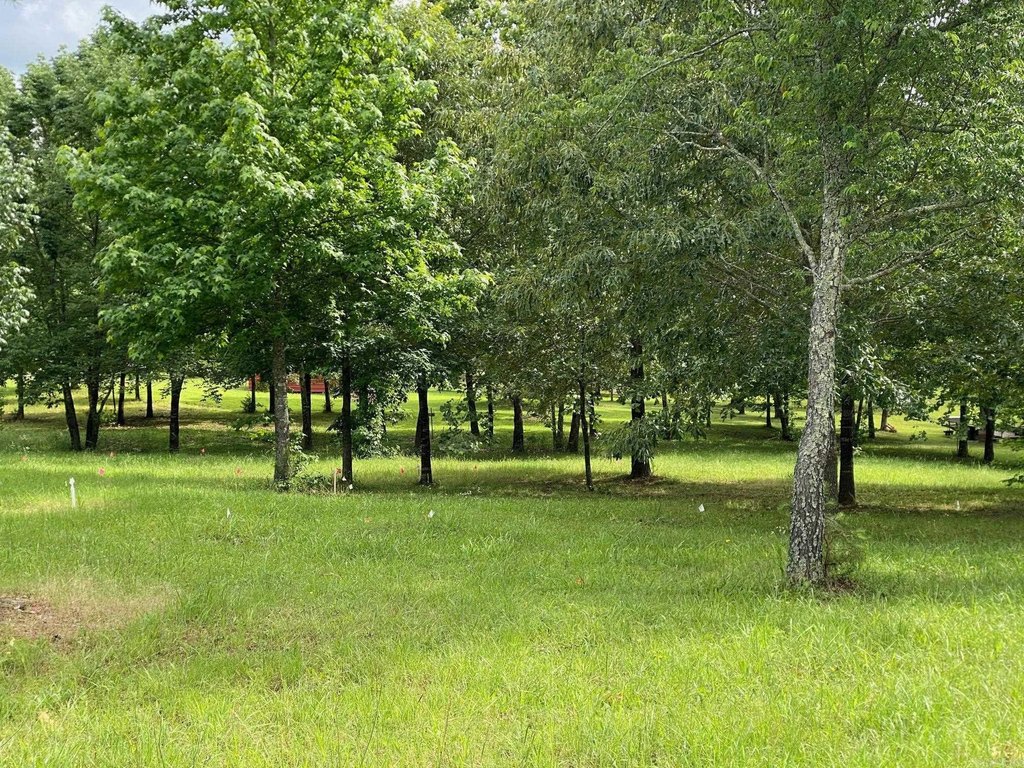 Picture 10
