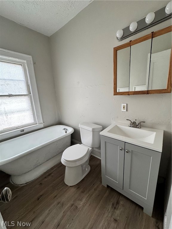 Picture 19